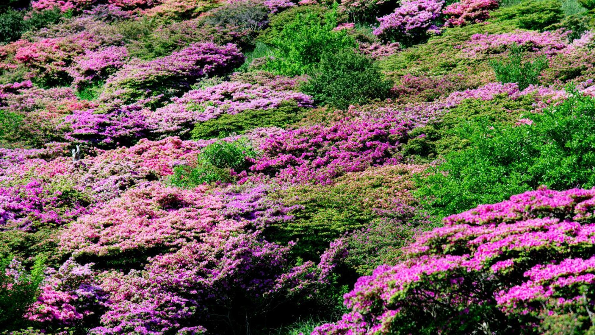 Unzen Iwaki Ryokan Exteriér fotografie